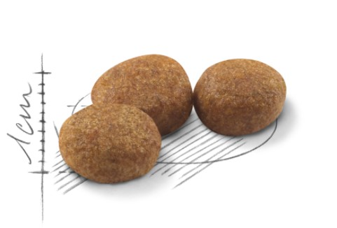 Royal Canin Sterilised полнорационный сухой корм для стерилизованных кошек