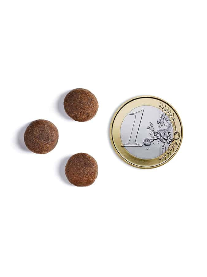 Еда для собак с ожирением Сухой корм для собак Ambrosia Grain Free Dog Adult Light (индейка, лосось)