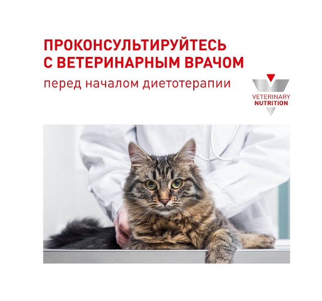 Сухой корм для кошек Royal Canin Dental Cat