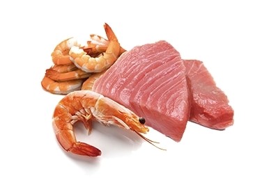 Питание для кошек Farmina N&D Cat Ocean Tuna & Shrimp