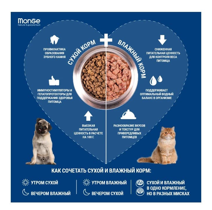 Каталог Сухой корм для собак Monge Dog Monoprotein Adult All Breeds (свинина) для собак