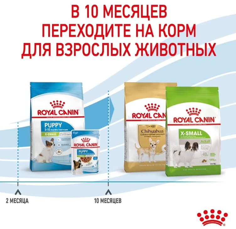 Еда для щенков Сухой корм для щенков Royal Canin X-Small Puppy
