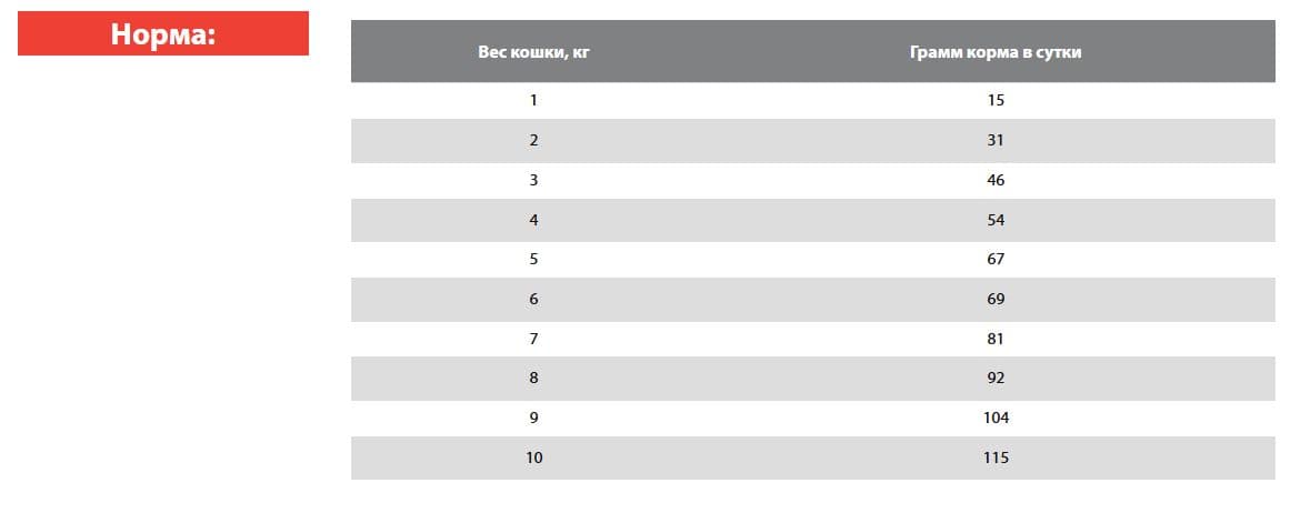 Сухой корм для кошек BLITZ Cat Vetline Renal (индейка)