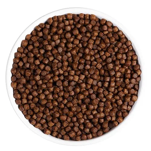 Еда для котят Ambrosia Grain Free Kitten (курица, индейка)