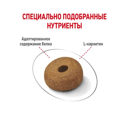 Еда для собак Сухой корм для собак Royal Canin Maxi Light Weight Care