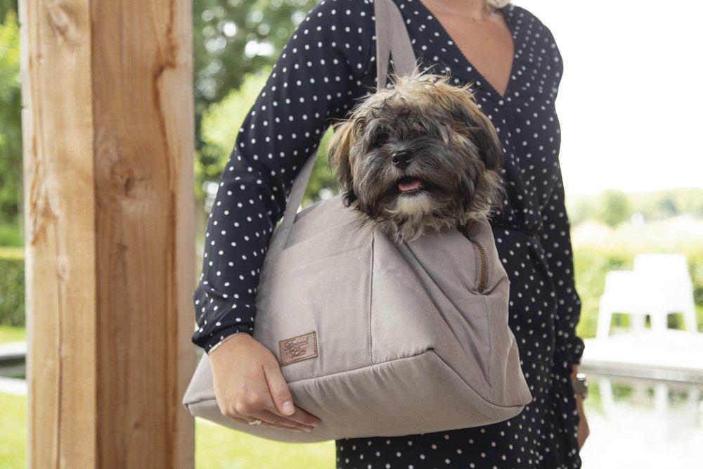 Переноска BUNDU DESIGNED BY LOTTE