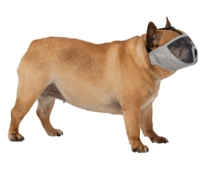 фото Намордник для плоскомордых пород собак "TRIXIE"