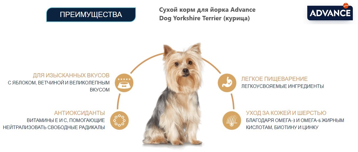 Еда для йоркширского терьера Сухой корм для йорка Advance Dog Yorkshire Terrier (курица)
