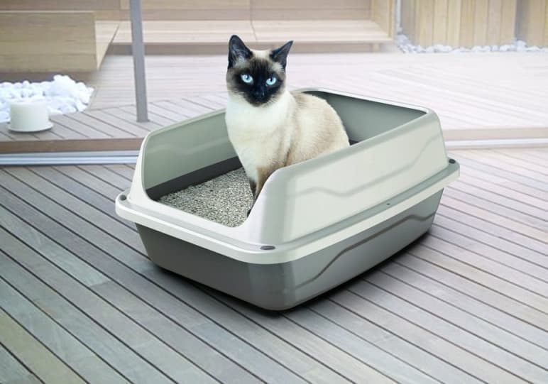 Туалет для кошек с высоким бортиком Georplast Sonic Big