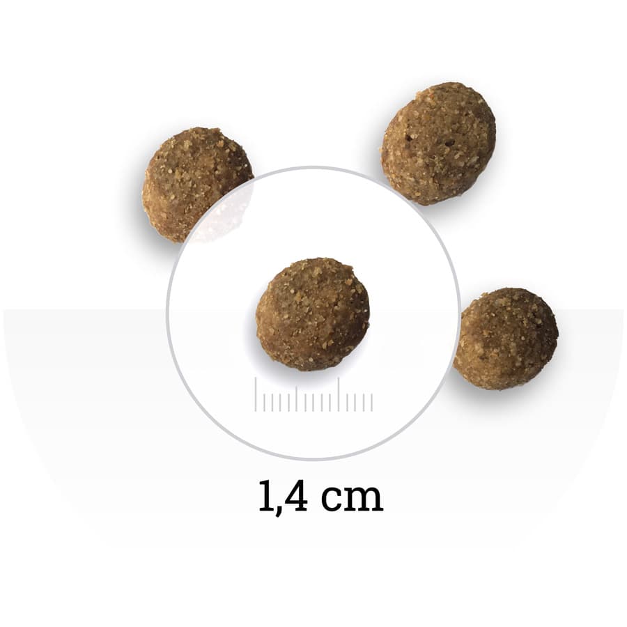 Еда для собак с избыточным весом Сухой корм для собак Bon Appetit DOG Light (курица, рис)