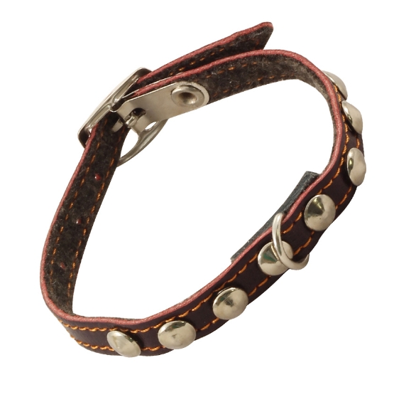 Ошейник-мини кожаный на синтепоне с украшением Gamma