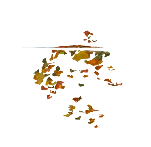 Корм для декоратиных рыб Tetra Rubin Flakes