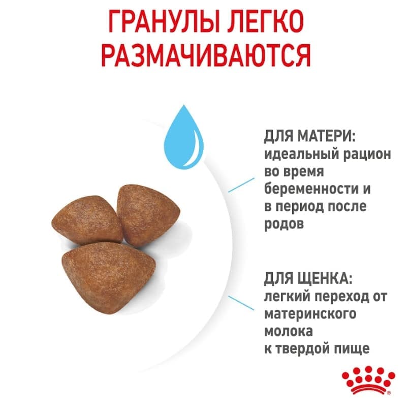 Еда для щенков Сухой корм для щенков Royal Canin Mini Starter