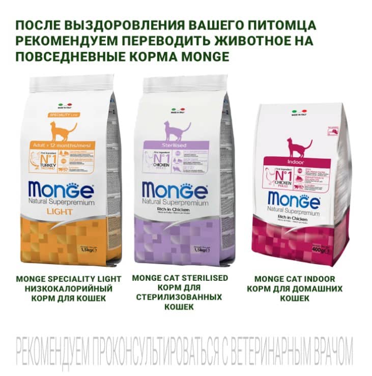 Диетический корм для кошек Monge VetSolution Obesity Cat
