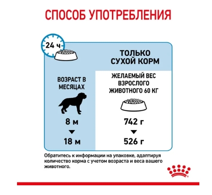 Питание для щенков Сухой корм для щенков Royal Canin Giant Junior