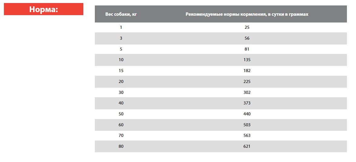 Каталог Сухой корм для собак BLITZ Dog Vetline Gastrointestinal (индейка) для собак