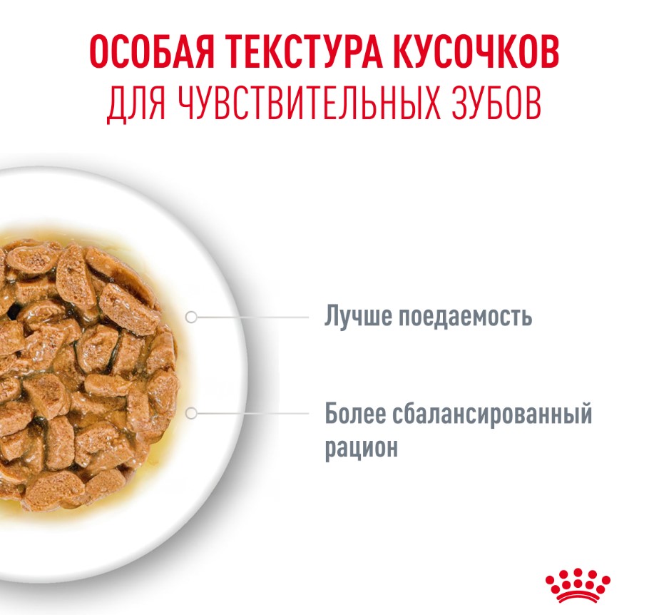 Влажный корм для очень пожилых кошек Royal Canin Ageing 15+