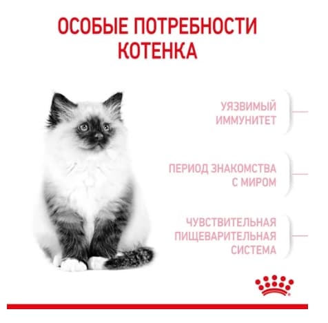 Royal Canin Kitten полнорационный сухой корм для котят и кошек 
