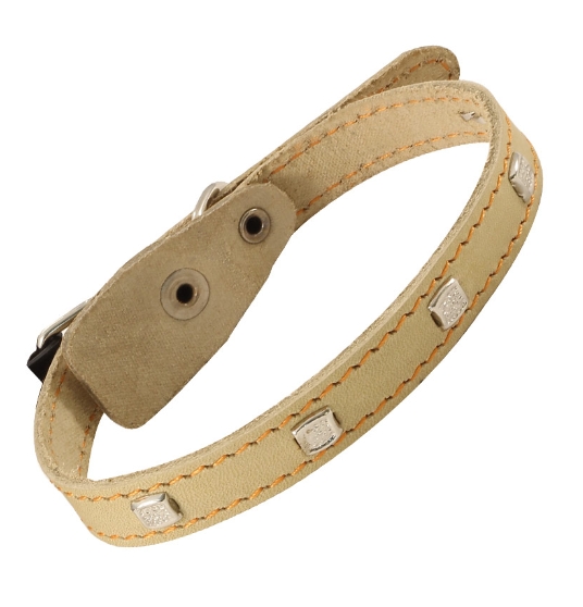 Ошейник кожаный с украшением Gamma