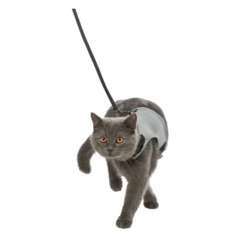 Набор для кошек "TRIXIE" шлея 24-42 см + поводок 1.2 м (41896)