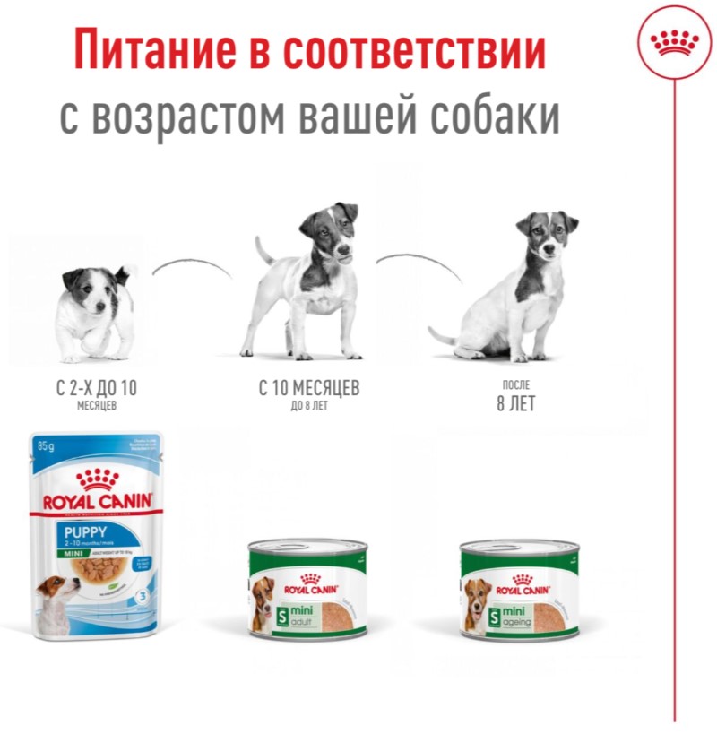Паштет для собак Royal Canin Mini Adult