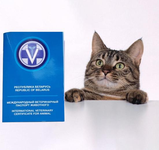 Ветеринарный паспорт для кошки собаки 