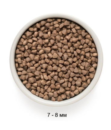 Сухой корм для кошек Grandorf Adult Indoor (ягненок, индейка) сбалансированный корм для активных кошек 