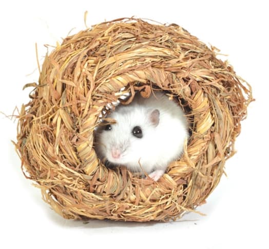 Домик для мелких животных из луговых трав NATURAL  "Шар" d100 мм (42031004)