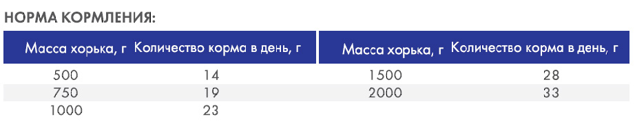 Totally Ferret Active