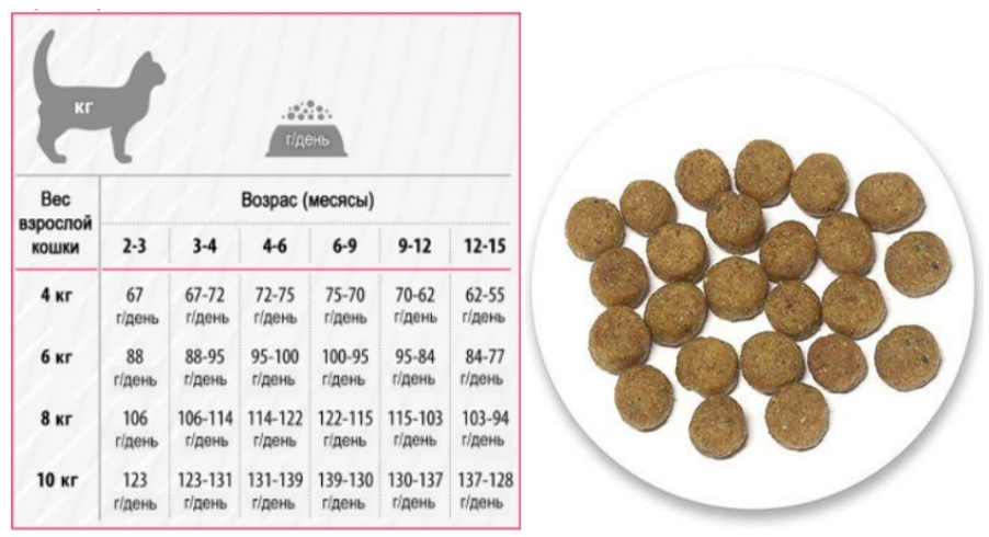 969e8e_46a7007a290444d59ced67663991b7d6.pdf - Google Chrome 2019-10-27 17.03.17.png