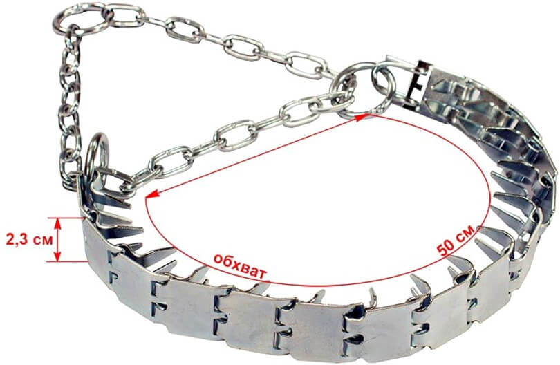 Collar-Darell-strict-plate-zinc-37556.jpg